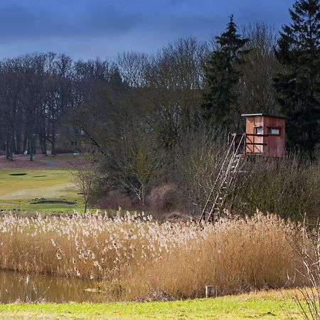 Tiny House Fleesensee Mit Eigenem Garten Und Nur Wenige Meter Vom Seeufer 고렌레빈 외부 사진