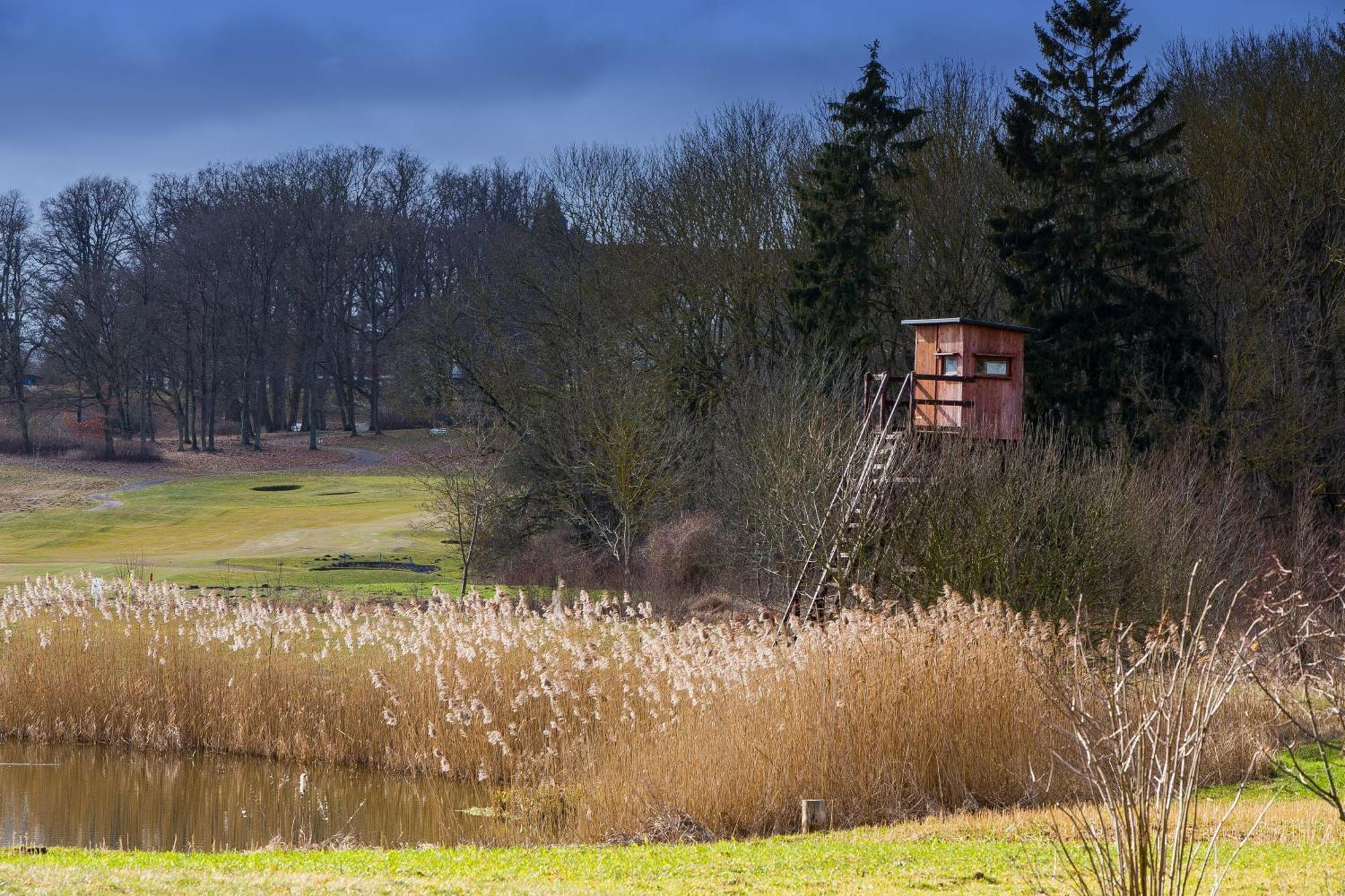 Tiny House Fleesensee Mit Eigenem Garten Und Nur Wenige Meter Vom Seeufer 고렌레빈 외부 사진